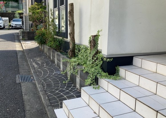 detached 神奈川県相模原市中央区相模原４丁目6番16号