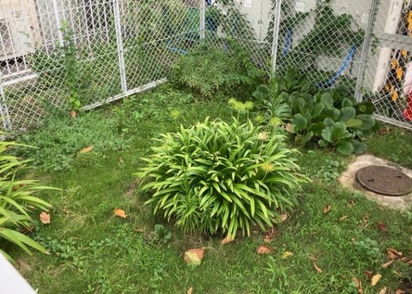 apartment 神奈川県相模原市中央区相模原４丁目6番16号