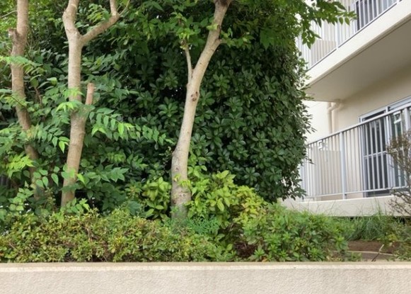 apartment 神奈川県相模原市中央区相模原４丁目6番16号