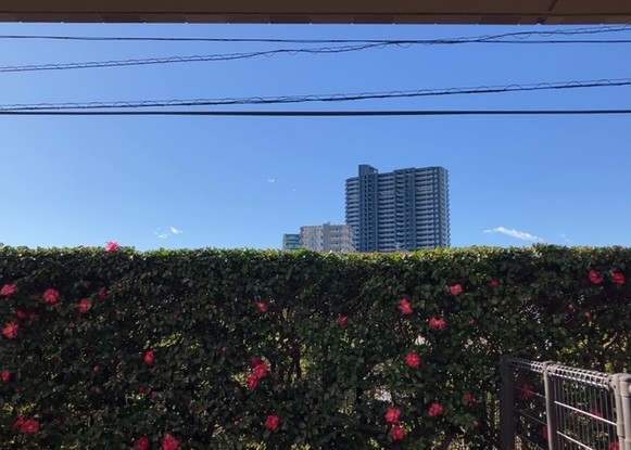 apartment 神奈川県相模原市南区上鶴間本町４丁目
地図を見る