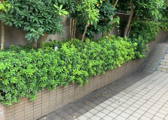 apartment 神奈川県相模原市中央区相模原４丁目6番16号