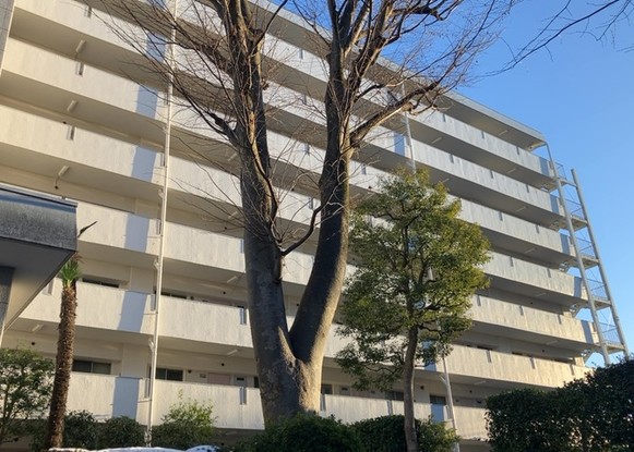 apartment 神奈川県相模原市中央区相模原４丁目6番16号