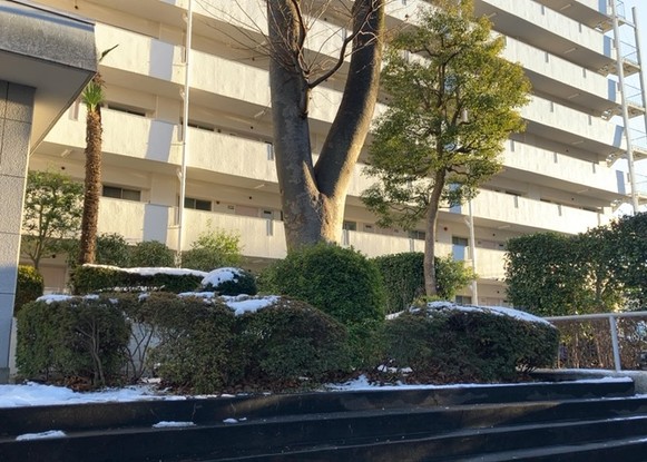 apartment 神奈川県相模原市中央区相模原４丁目6番16号