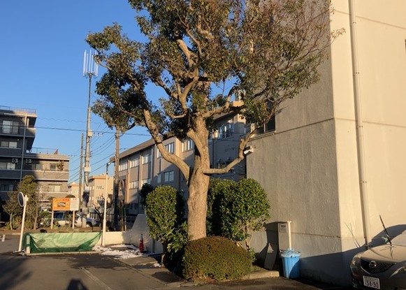 apartment 神奈川県相模原市中央区相模原４丁目6番16号