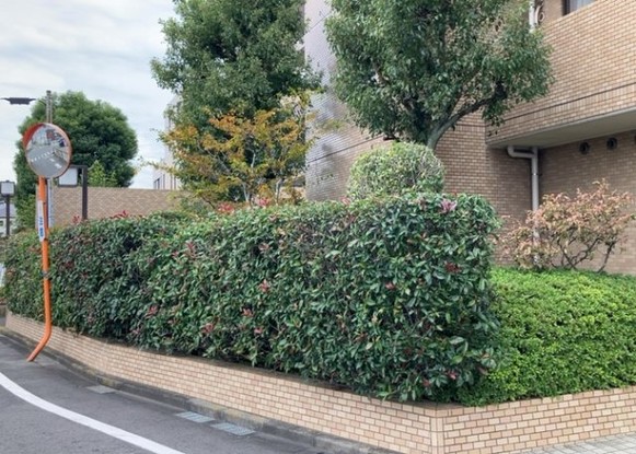 apartment 神奈川県相模原市中央区相模原４丁目6番16号