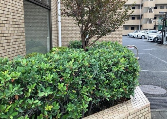 apartment 神奈川県相模原市中央区相模原４丁目6番16号