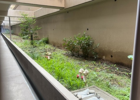 apartment 神奈川県相模原市南区上鶴間本町９丁目
地図を見る