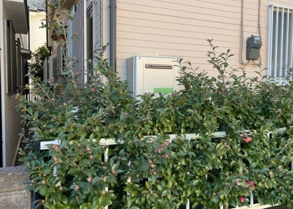 detached 神奈川県相模原市中央区相模原４丁目6番16号