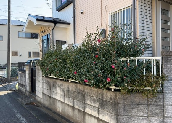 detached 神奈川県相模原市中央区相模原４丁目6番16号