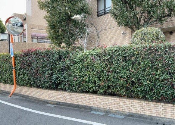 apartment 神奈川県相模原市中央区相模原４丁目6番16号