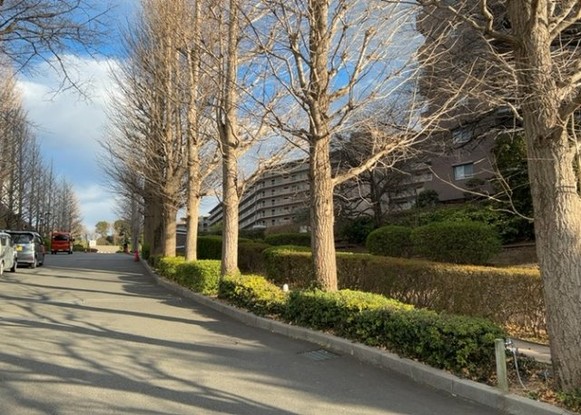 apartment 神奈川県相模原市中央区相模原４丁目6番16号