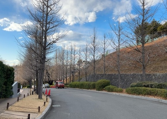 apartment 神奈川県相模原市中央区相模原４丁目6番16号