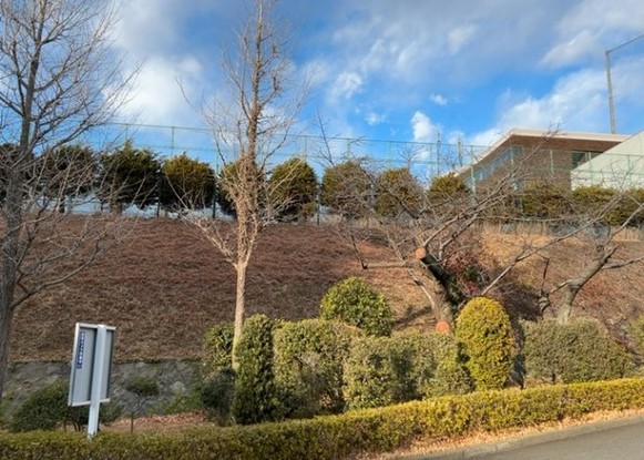 apartment 神奈川県相模原市中央区相模原４丁目6番16号