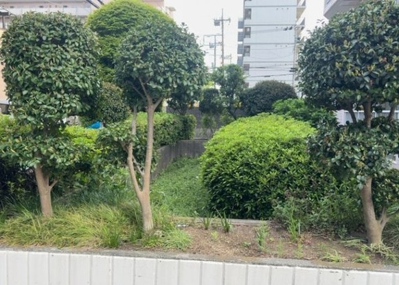 apartment 神奈川県相模原市中央区鹿沼台１丁目
地図を見る
