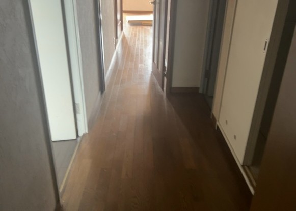 apartment 神奈川県相模原市南区上鶴間７丁目
地図を見る