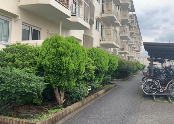 apartment 神奈川県相模原市中央区相模原４丁目6番16号