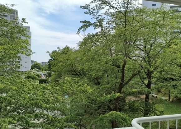 apartment 神奈川県相模原市中央区相模原４丁目6番16号