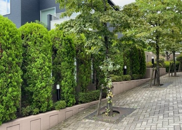 apartment 神奈川県相模原市中央区相模原４丁目6番16号