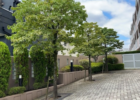 apartment 神奈川県相模原市中央区相模原４丁目6番16号
