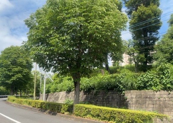 apartment 神奈川県相模原市中央区相模原４丁目6番16号
