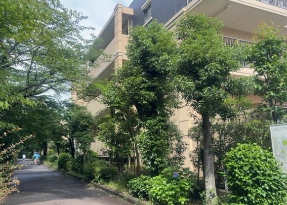 apartment 神奈川県相模原市中央区相模原４丁目6番16号