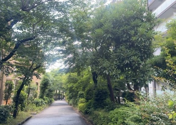 apartment 神奈川県相模原市中央区相模原４丁目6番16号