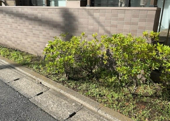 apartment 神奈川県相模原市南区上鶴間本町２丁目
地図を見る