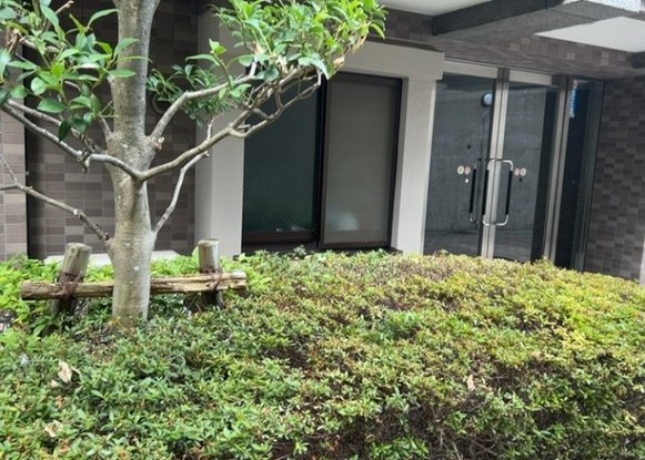 apartment 神奈川県相模原市中央区相模原４丁目6番16号