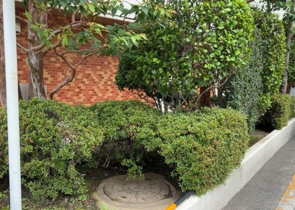 apartment 神奈川県相模原市中央区相模原４丁目6番16号