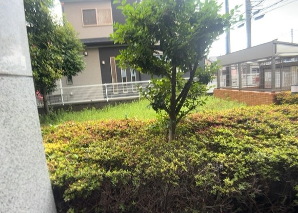 apartment 神奈川県相模原市中央区相模原４丁目6番16号
