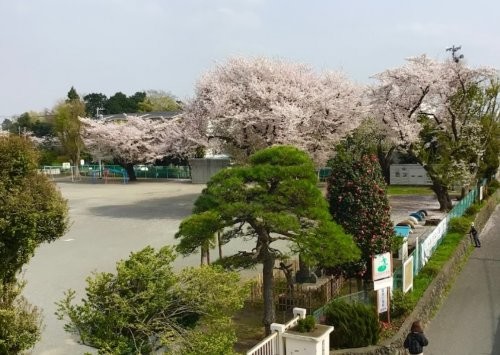 apartment 神奈川県相模原市中央区相模原４丁目6番16号