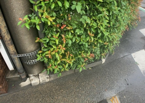 apartment 神奈川県相模原市中央区相模原４丁目6番16号