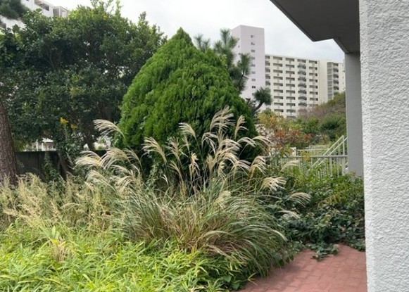 apartment 神奈川県相模原市中央区相模原４丁目6番16号