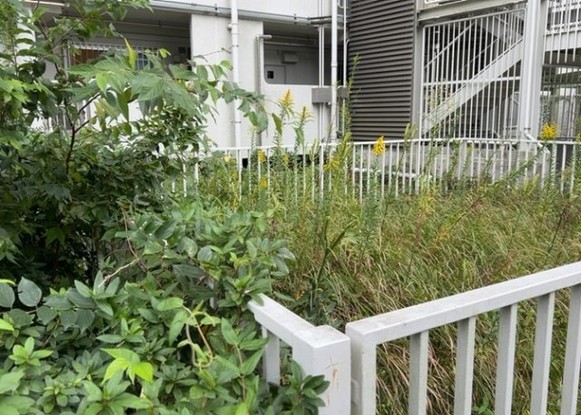 apartment 神奈川県相模原市中央区相模原４丁目6番16号