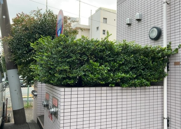 apartment 神奈川県相模原市中央区相模原４丁目6番16号