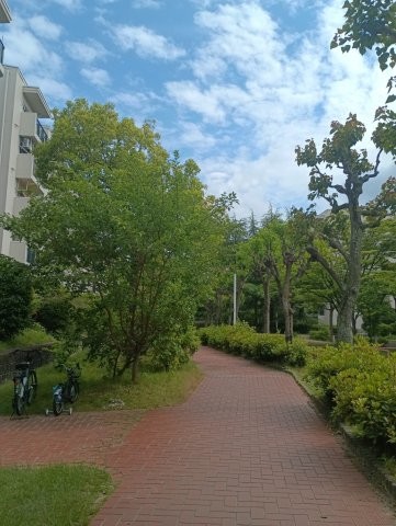 apartment 大阪府大東市川中新町
地図を見る