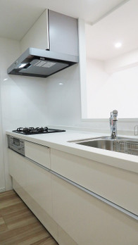 apartment 埼玉県越谷市南越谷１丁目21-2ポラスビル1F