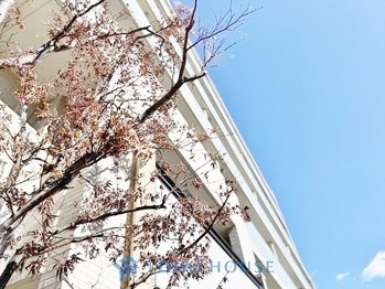 apartment 東京都杉並区阿佐谷南１丁目47-24 KDXレジデンス1F