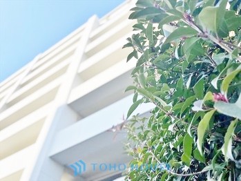 apartment 東京都杉並区阿佐谷南１丁目47-24 KDXレジデンス1F