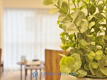 apartment 東京都杉並区阿佐谷南１丁目47-24 KDXレジデンス1F