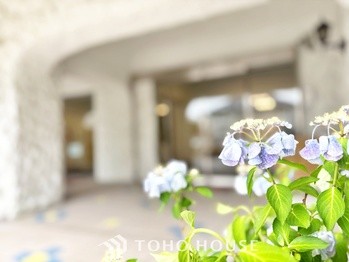 apartment 東京都杉並区阿佐谷南１丁目47-24 KDXレジデンス1F