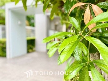 apartment 東京都杉並区阿佐谷南１丁目47-24 KDXレジデンス1F