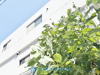 apartment 東京都杉並区阿佐谷南１丁目47-24 KDXレジデンス1F
