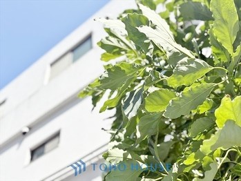 apartment 東京都杉並区阿佐谷南１丁目47-24 KDXレジデンス1F
