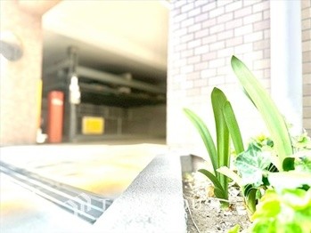 apartment 東京都杉並区阿佐谷南１丁目47-24 KDXレジデンス1F