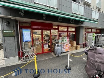 townhouse 東京都杉並区阿佐谷南１丁目47-24 KDXレジデンス1F