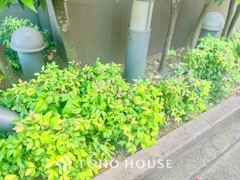 apartment 東京都杉並区阿佐谷南１丁目47-24 KDXレジデンス1F