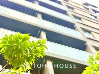 apartment 東京都杉並区阿佐谷南１丁目47-24 KDXレジデンス1F