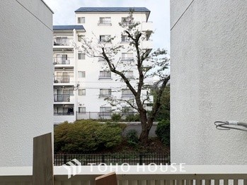 apartment 東京都杉並区阿佐谷南１丁目47-24 KDXレジデンス1F