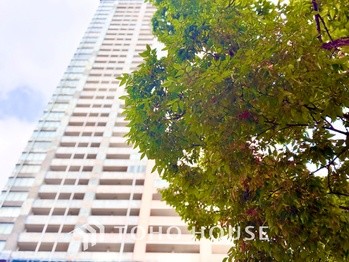 apartment 東京都杉並区阿佐谷南１丁目47-24 KDXレジデンス1F